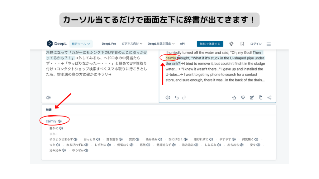 DeepL辞書機能画面