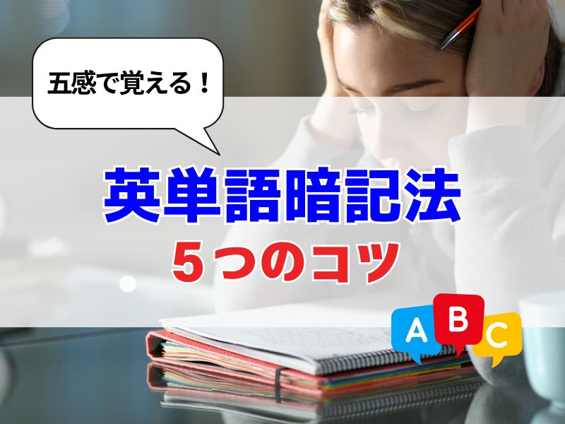 苦手な英単語をスラスラ覚える!五感を使う暗記法【5つのコツ】 | 株式会社e-LIFEWORK