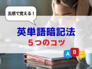 苦手な英単語をスラスラ覚える！五感を使う暗記法【５つのコツ】