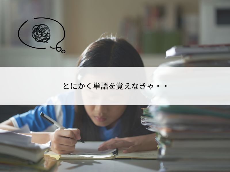 単語を覚えようと頑張る女性のイメージ画像